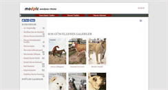 Desktop Screenshot of hayvanlarim.org